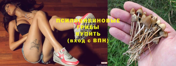 мяу мяу кристалл Арсеньев