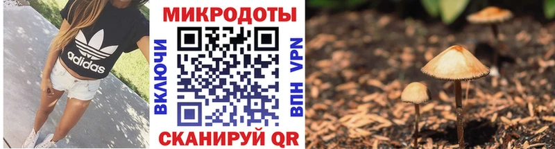 Галлюциногенные грибы MAGIC MUSHROOMS Слободской